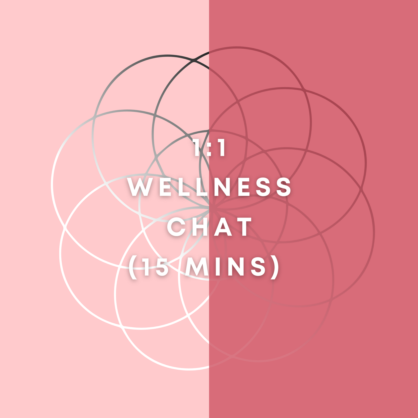 1:1 Wellness Chat